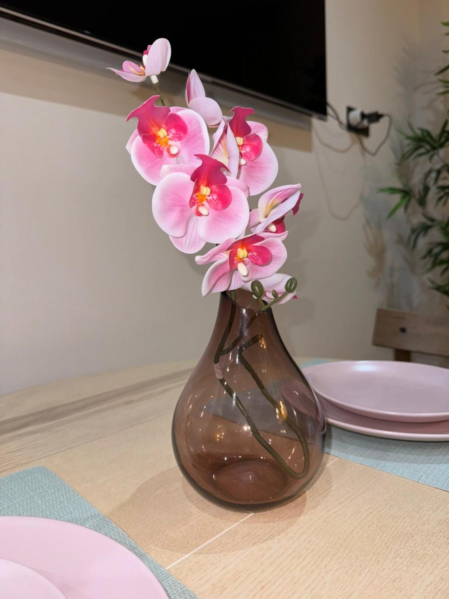 Parking Vigilado Gratis Pleno Centro,Cozy Apartment Granada Picon Center, Recien Reformado المظهر الخارجي الصورة